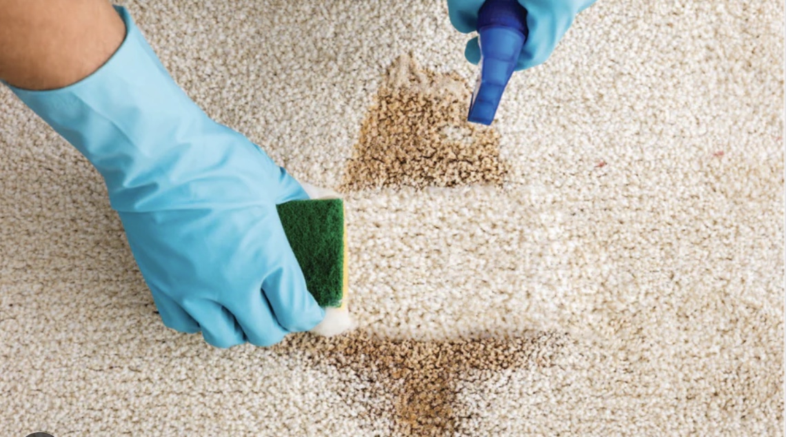 HOW TO TAKE STAINS OFF CARPETS & UPHOLSTERY